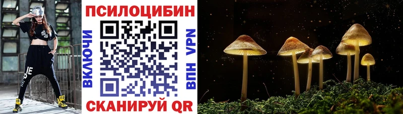 наркошоп  Шумиха  Галлюциногенные грибы GOLDEN TEACHER 